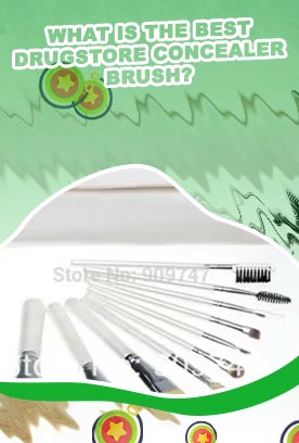 Best cheap makeup brushes reddit
